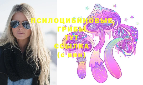 крисы Алексин